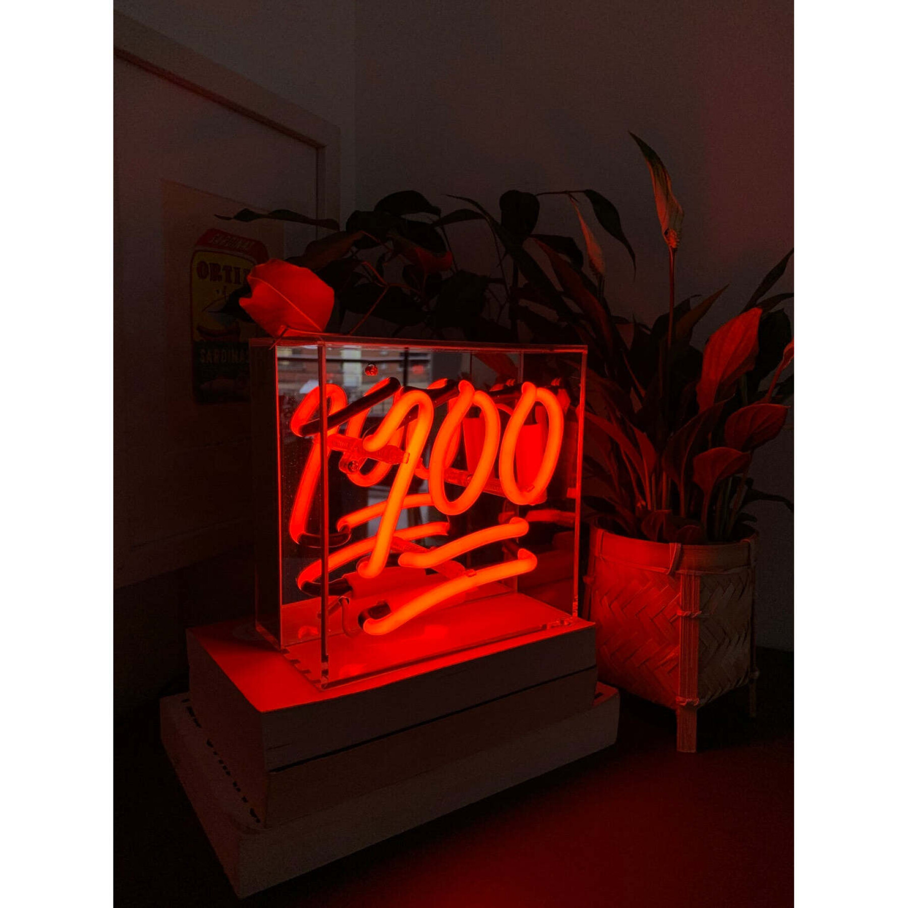 Boîte lumineuse néon mini Locomocean 100