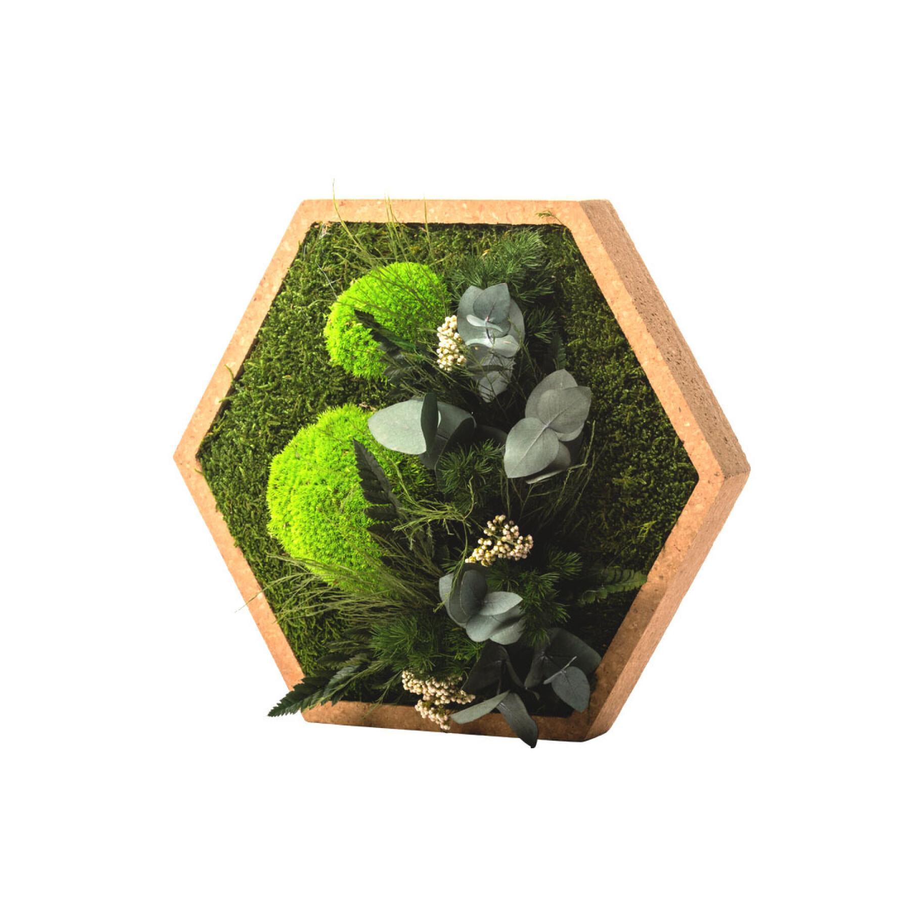 Cadre végétal hexagonal Naturalys Stab Nature