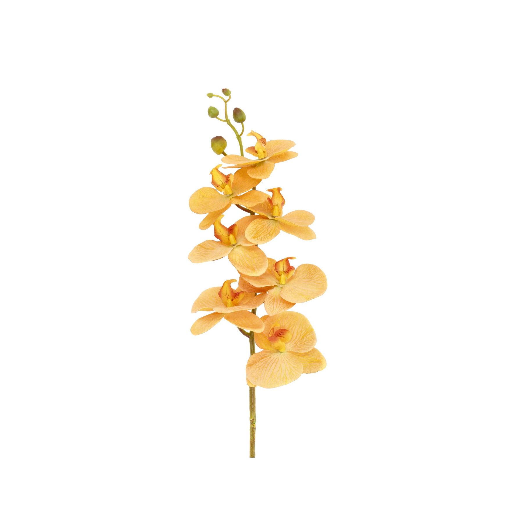 Fleurs orchidée Villa Collection Styles