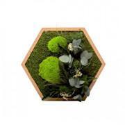 Cadre végétal hexagonal Naturalys Stab Nature