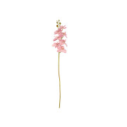 Fleurs orchidée Villa Collection Styles